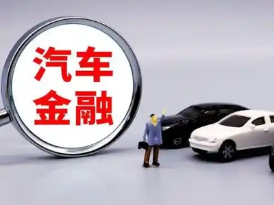 蒸湘押车贷款不是本人可以么?